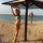 mariya_evgenevna