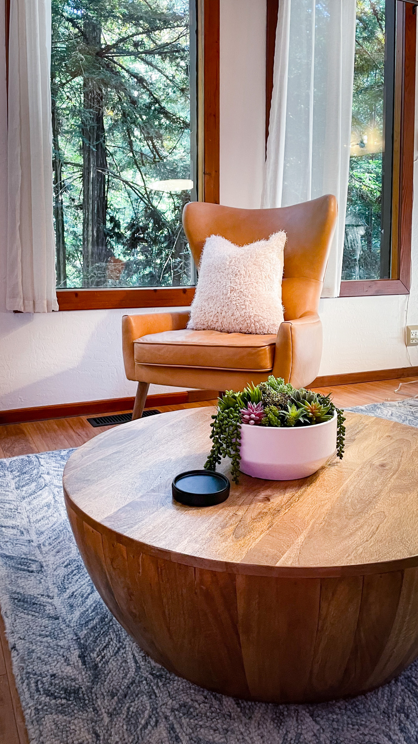 Air BnB Living Room