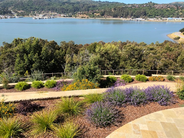 View contemporary-garden