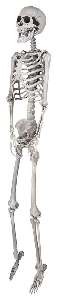 5.4' Full Body Skeleton Props, Movable Joints for Halloween Party Decoration