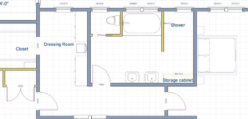 Looking For Advice On Walk In Shower New Master Bath