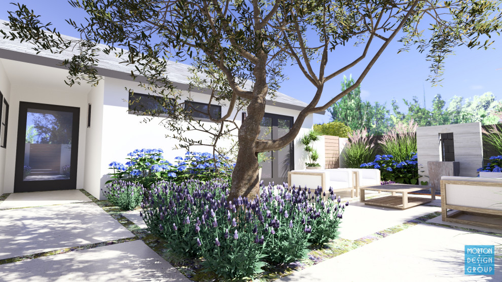 Szenderski Project - San Juan Capistrano, CA.