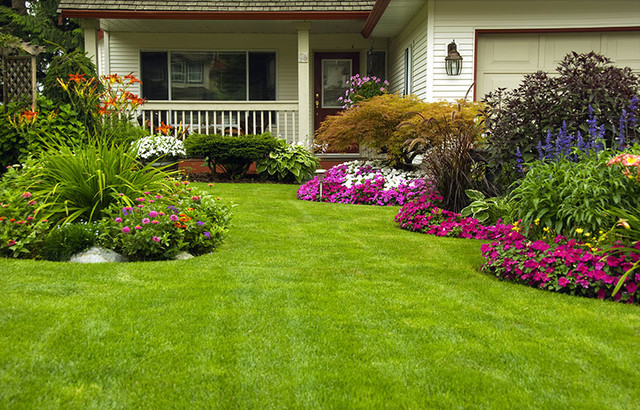 Landscaping klassisk-have