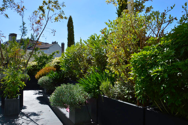 Jardin en pots contemporary-garden