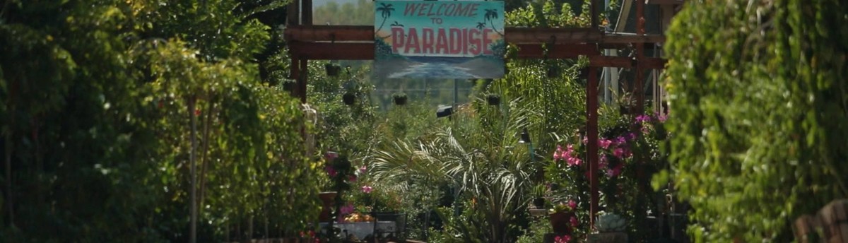 Paradise Nursery Chatsworth Ca Us 91311