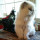 gabbycat77