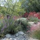Russell's Gardens