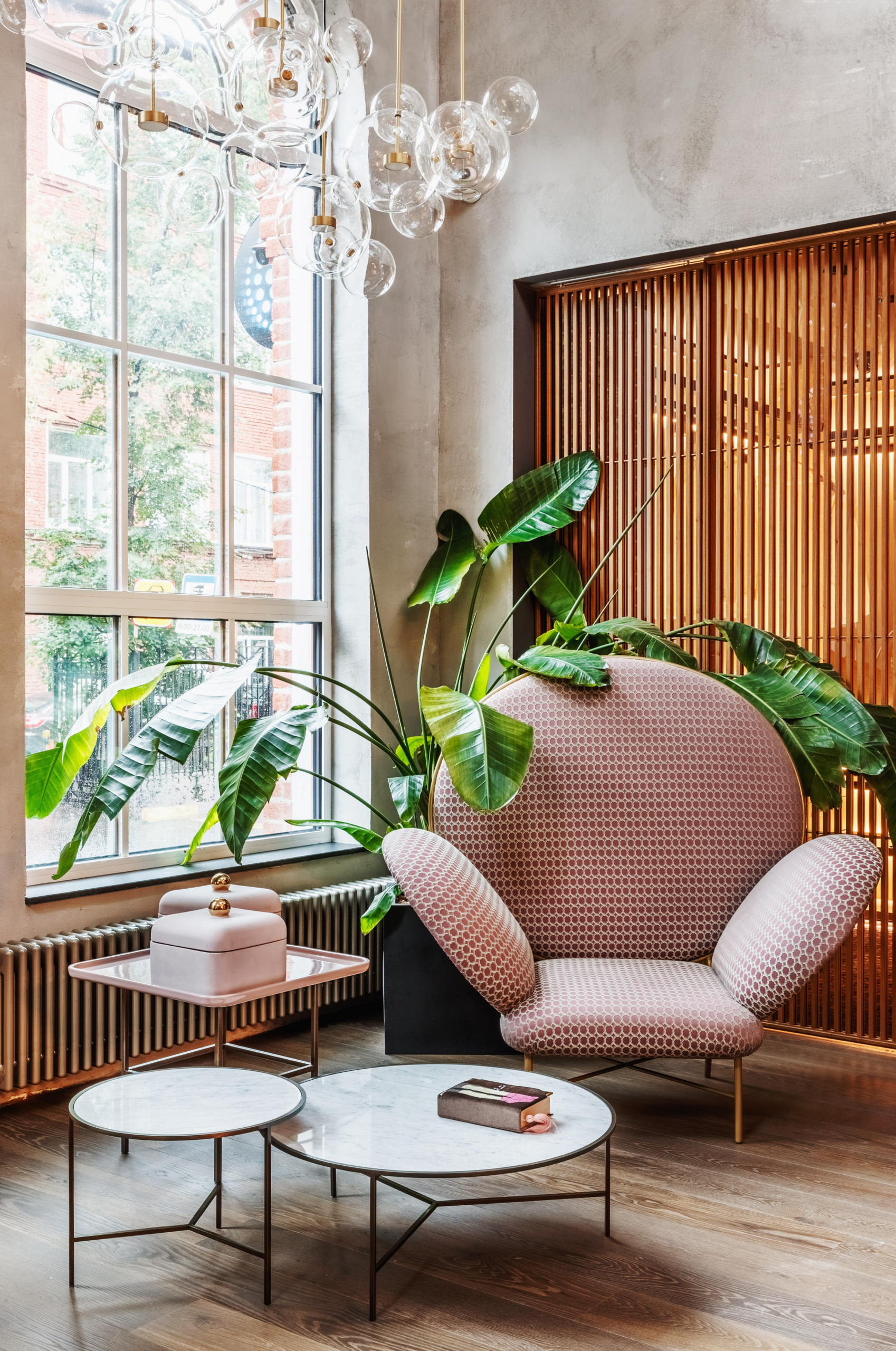 5 комнатных растений для интерьера в стиле минимализм