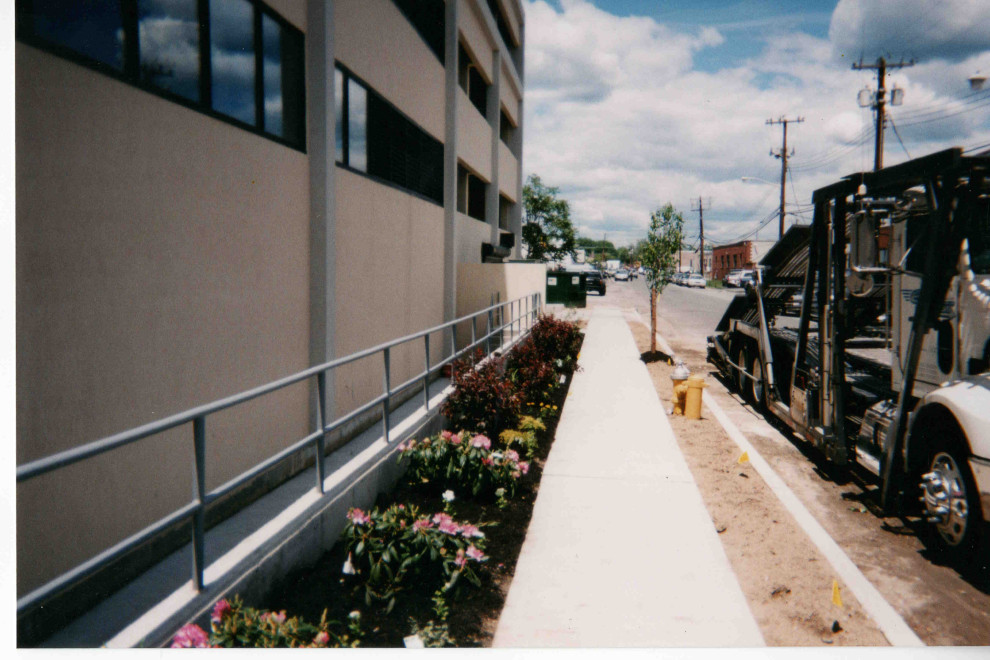 Commercial landscape planting