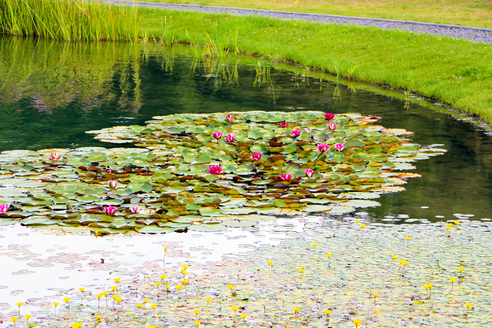 Харламово, 2010-2012 гг.