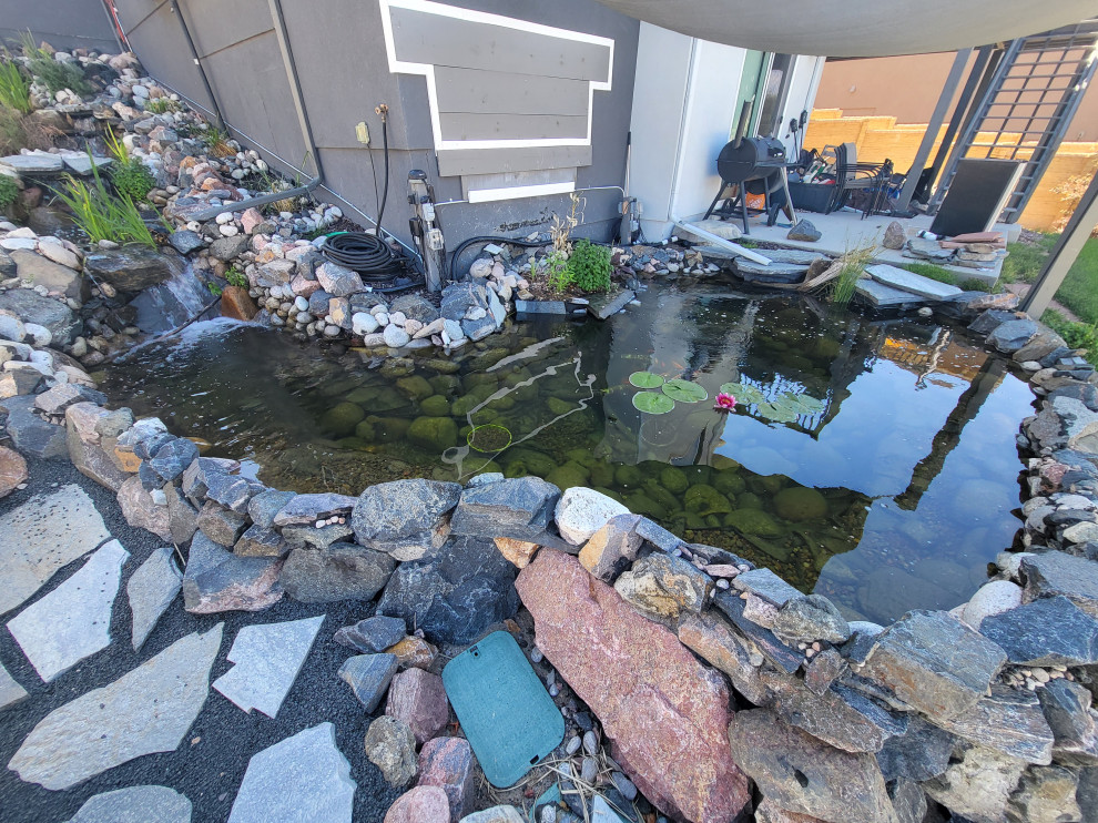 Custom✨ Koi Pond