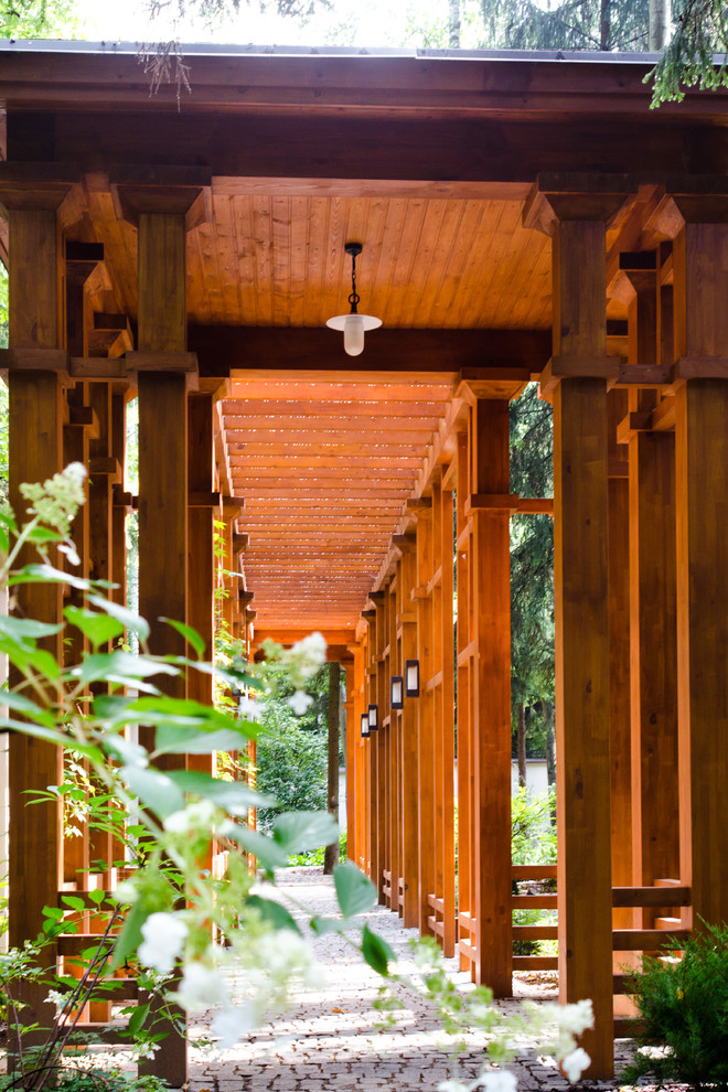 Глянцевый лес