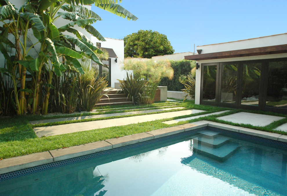 This is an example of a contemporary rectangular pool in Los Angeles.