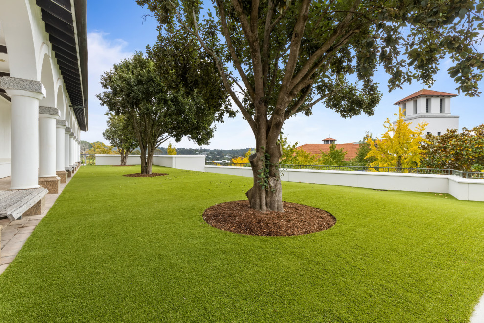 Photo of an expansive modern sloped full sun xeriscape for summer in Auckland with with lawn edging.