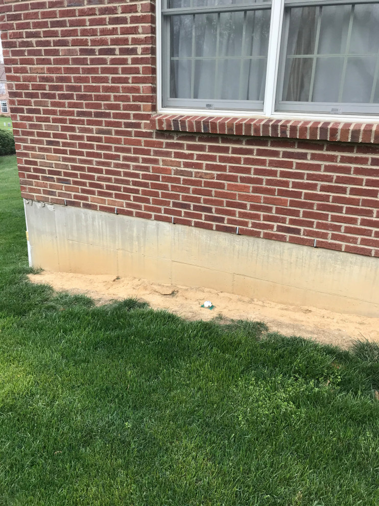 Help ! How can I fix side of my house soil erosion