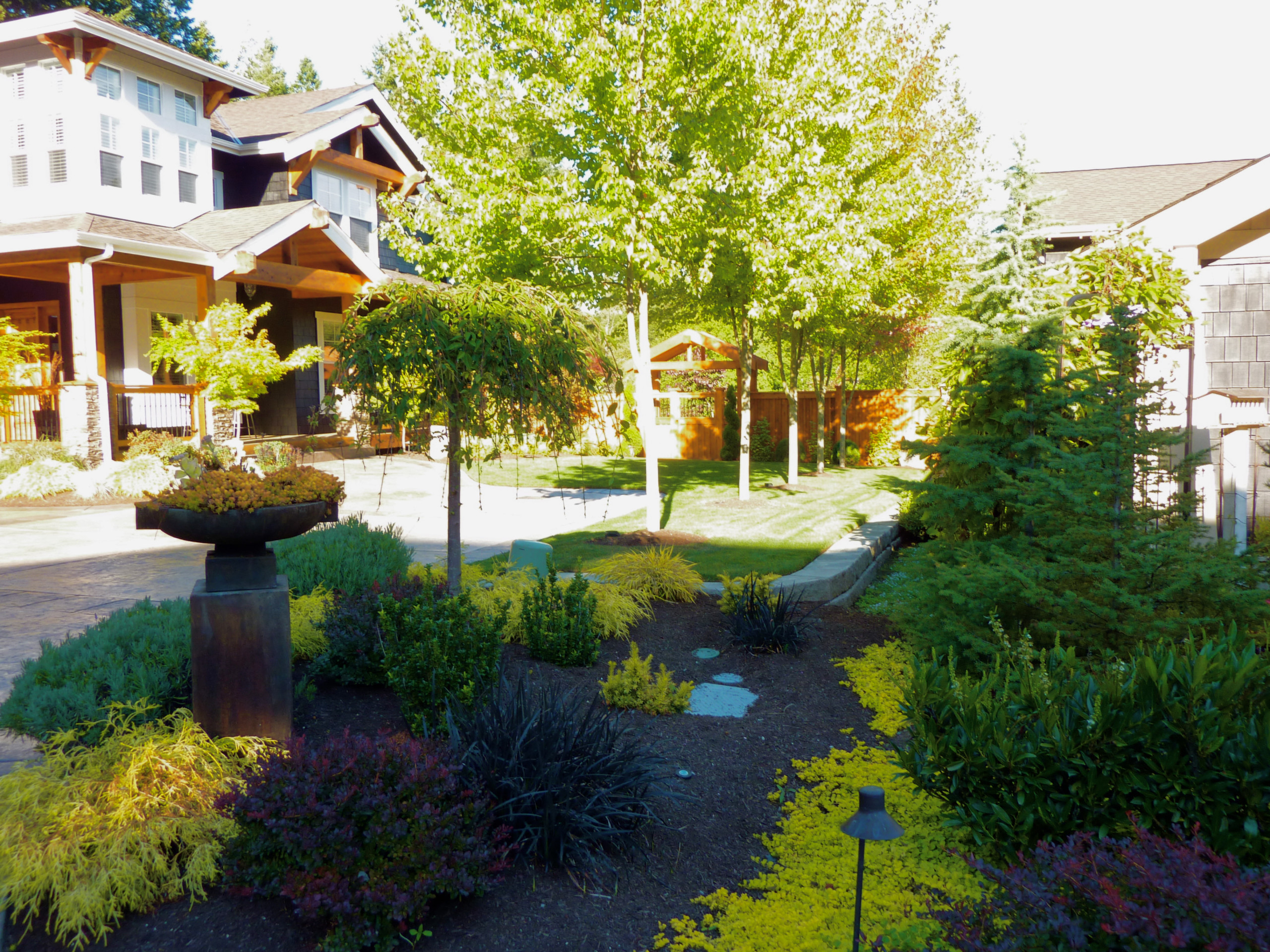 Sammamish ELL