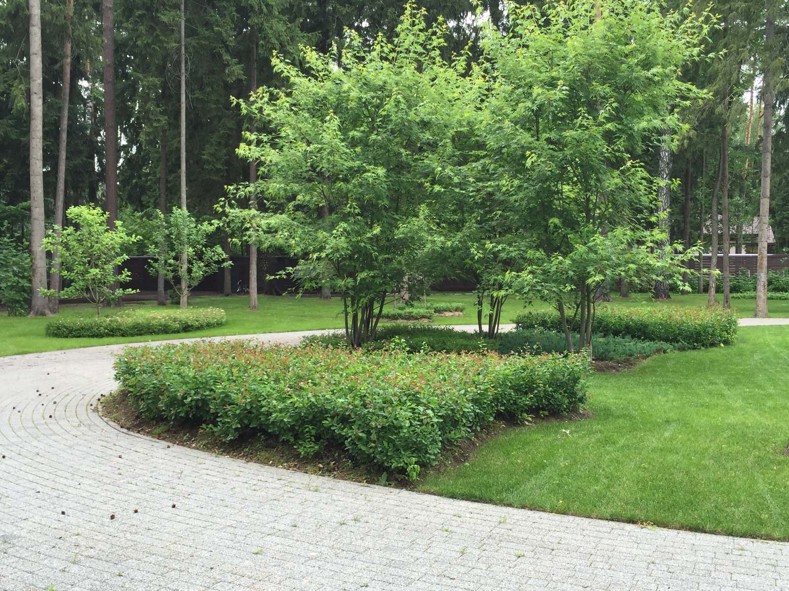 Сосновый бор