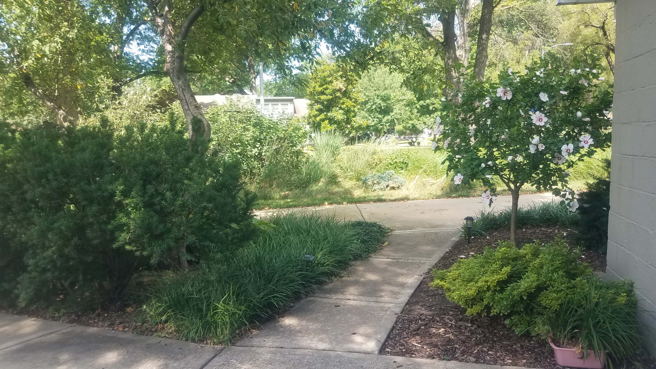 Prairie Village Prairie