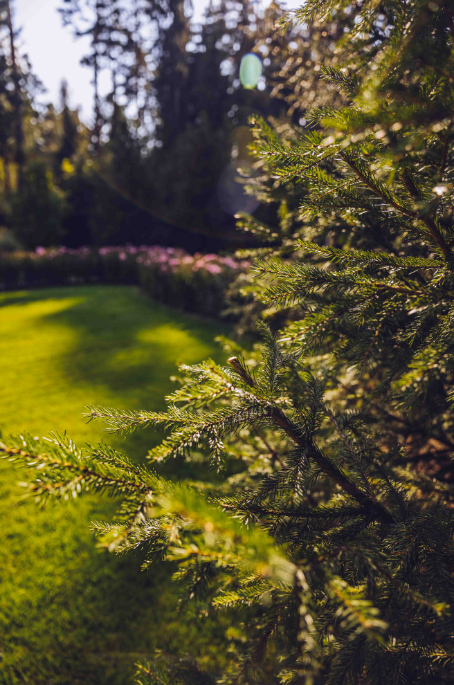 Архитектурное Решение в Пейзажном Стиле