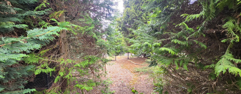 Woodpecker close Cobham