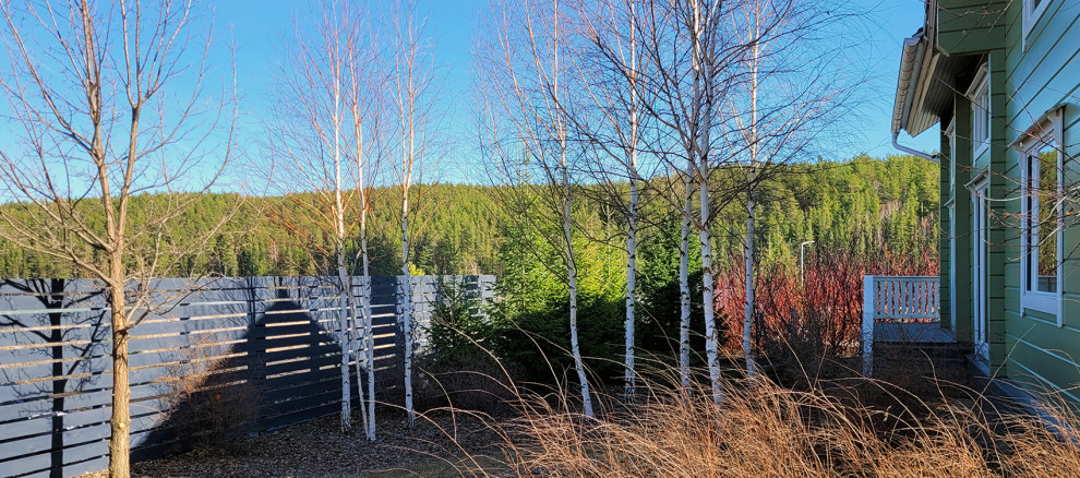 Полынный берег. Новые снимки