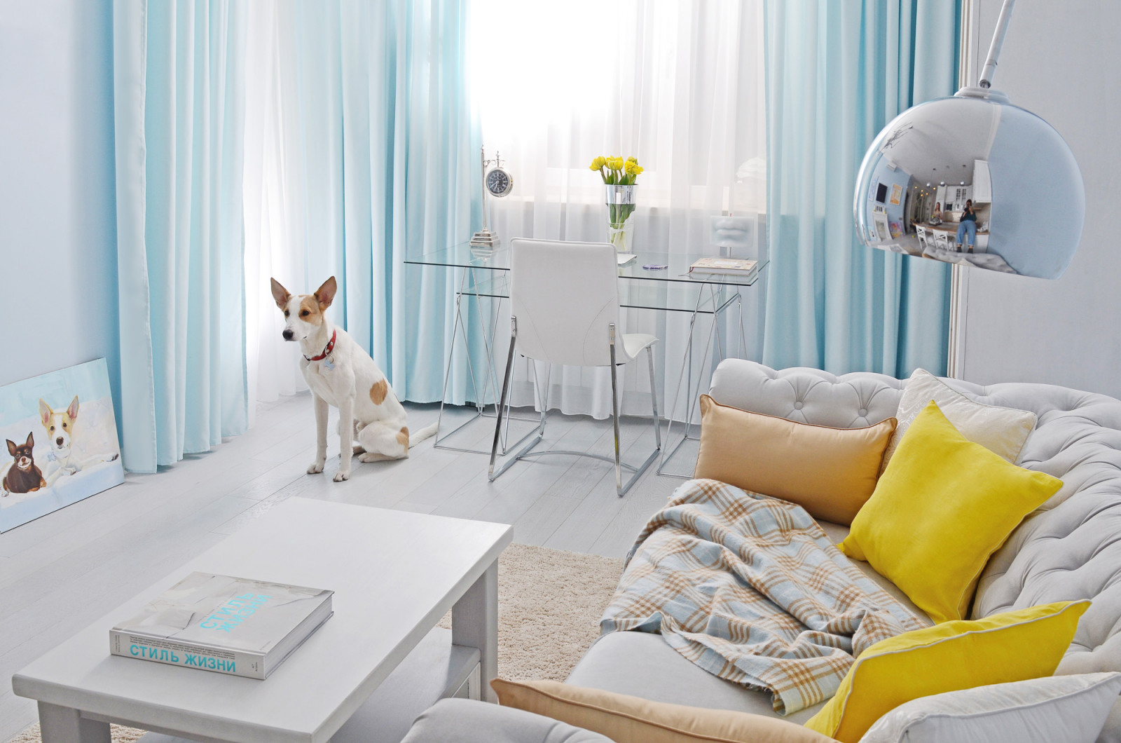 Квартира цвета неба