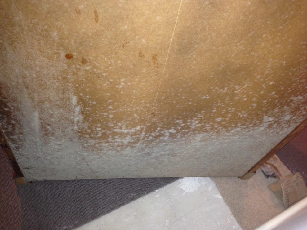 Help! Mouldy furniture. Houzz AU