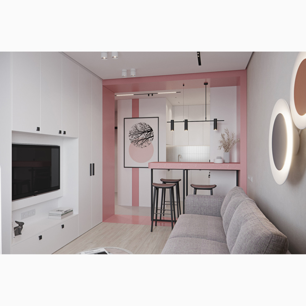 Квартира 33 м2. Санкт-Петербург, 2019 г.