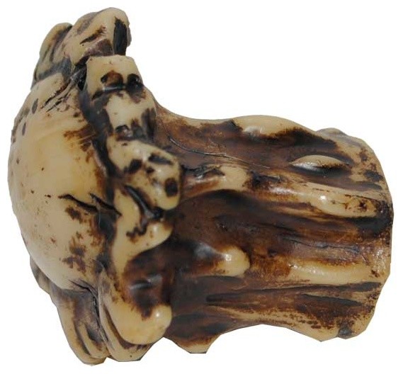 Antler Knobs Rustic And Drawer Knobs by HiEnd Accents Houzz