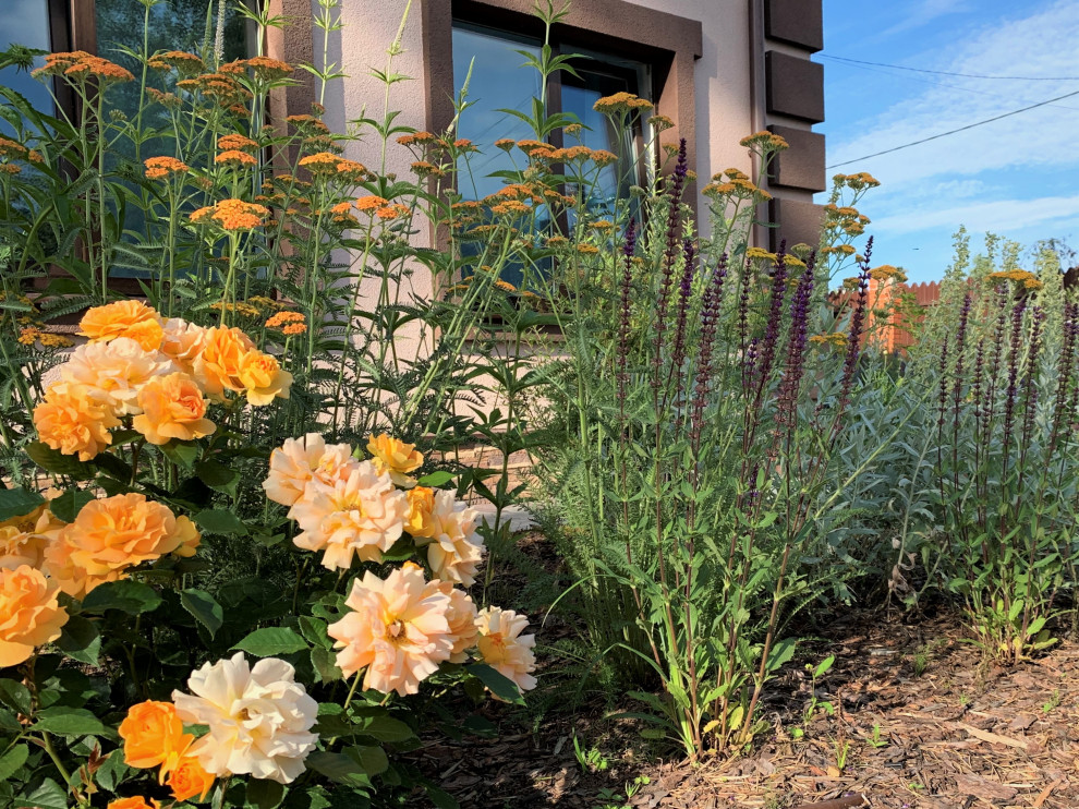 На солнечной поляне