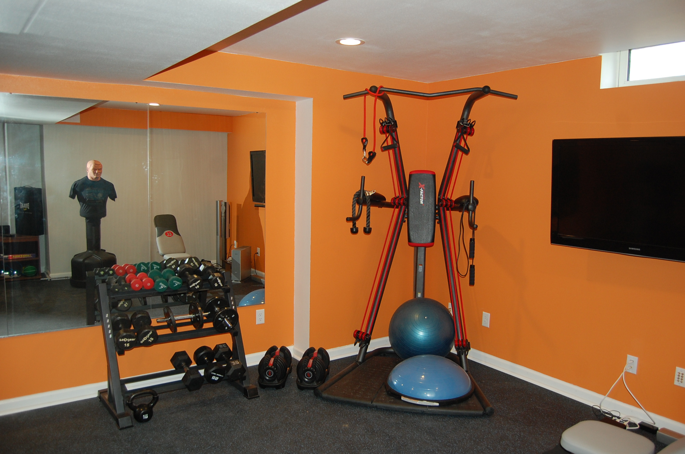 Basement office and work out area