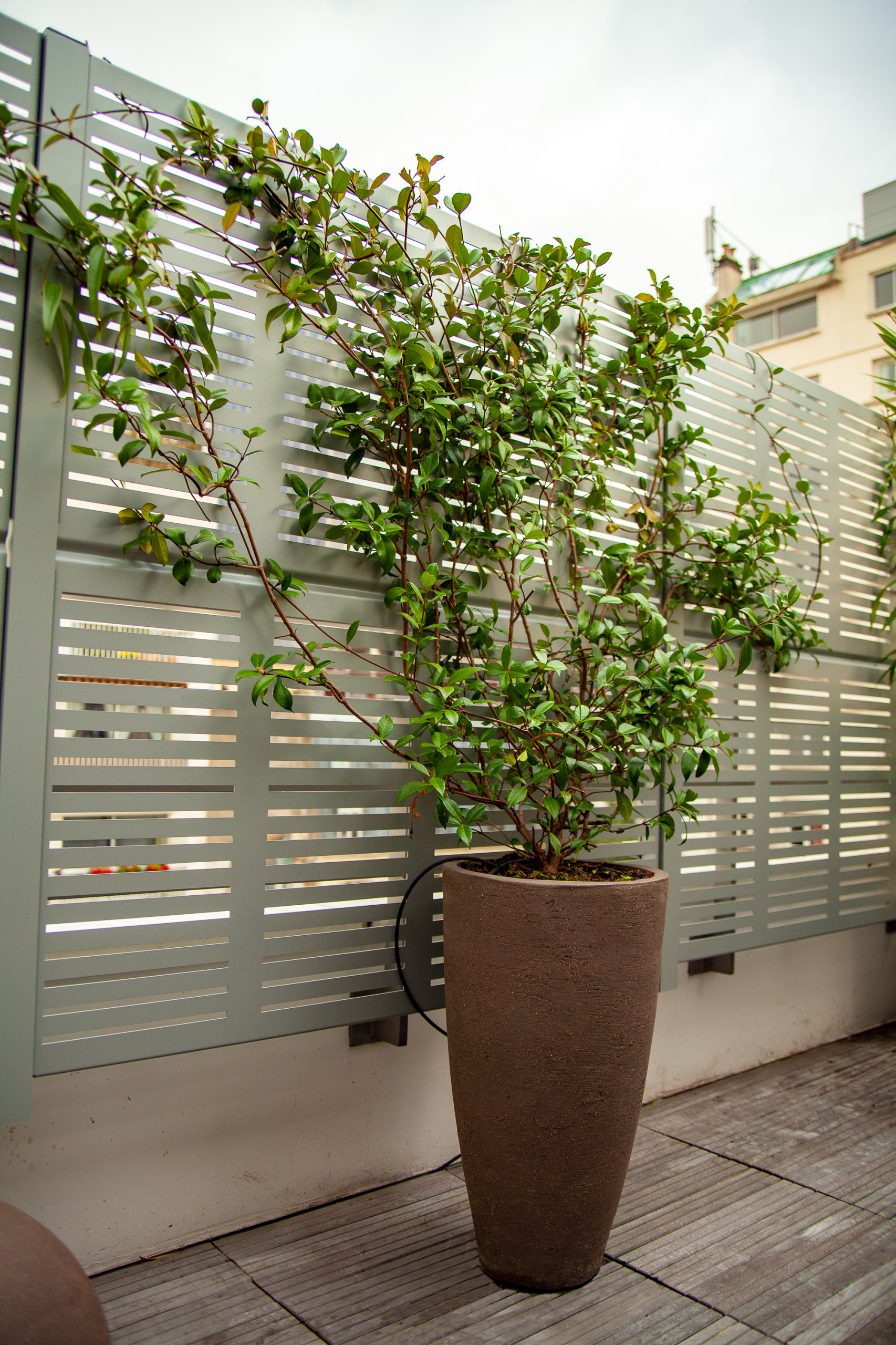 résolument contemporain!