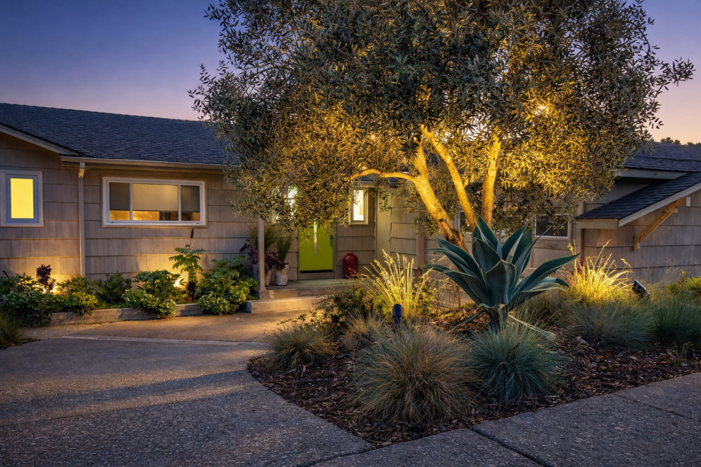 Landscape/ Hardscape