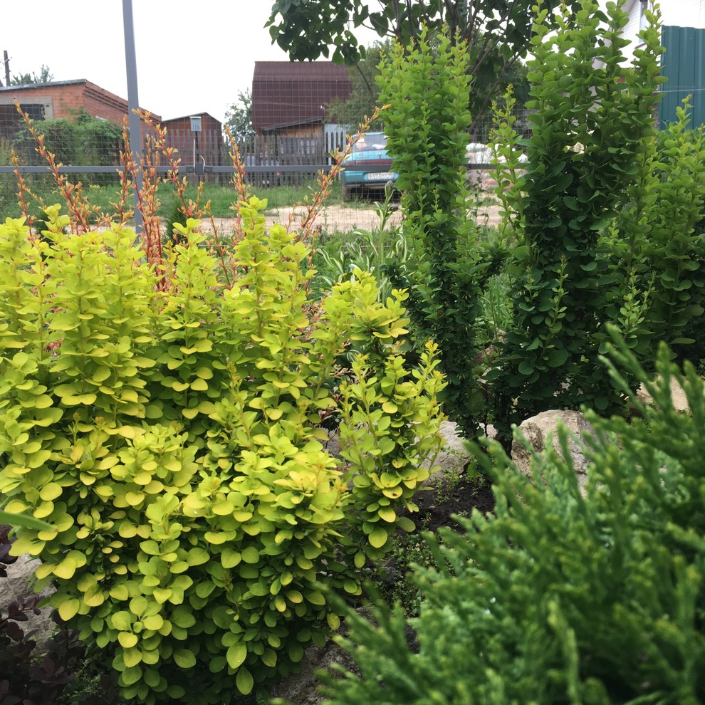 Реставрация старинного сада в калужской области