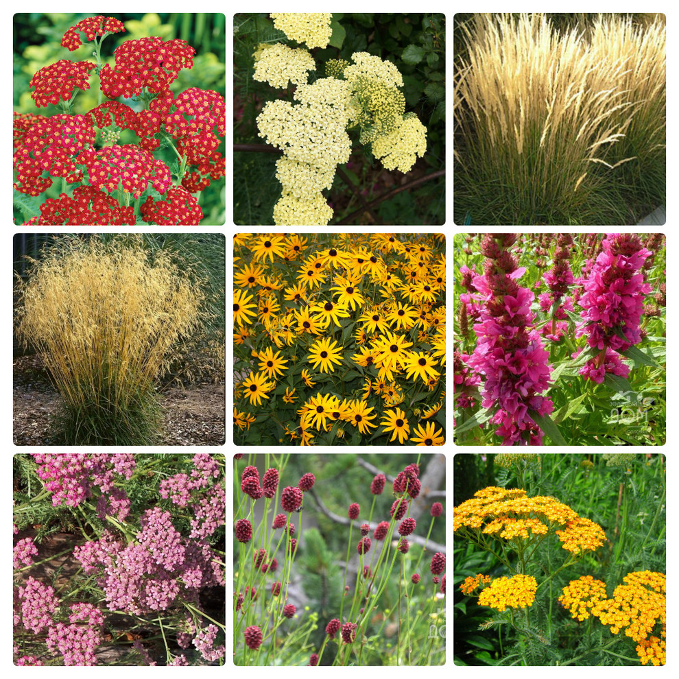 Рижское взморье