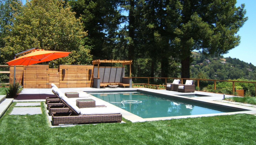 Photo of a modern rectangular pool in San Francisco.
