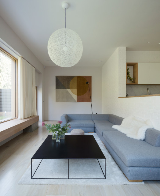 Taney scandinavian-living-room