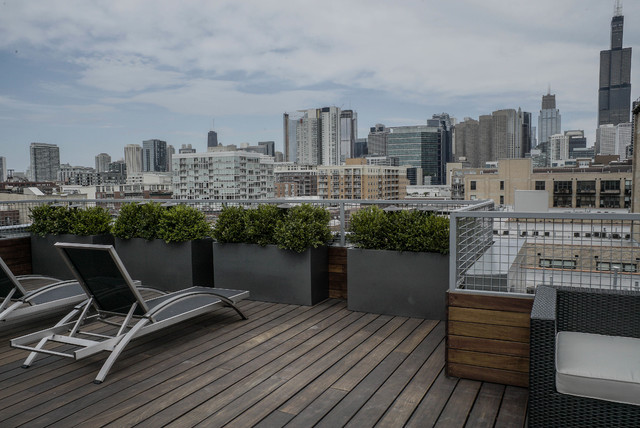 West Loop Expanse contemporary-terrace