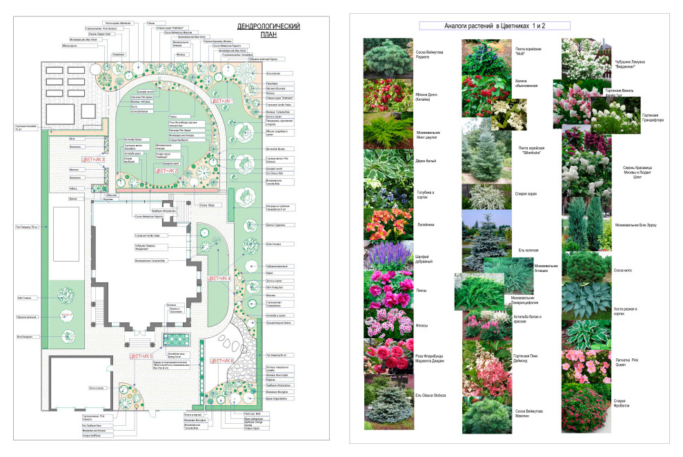Дендрологический план.