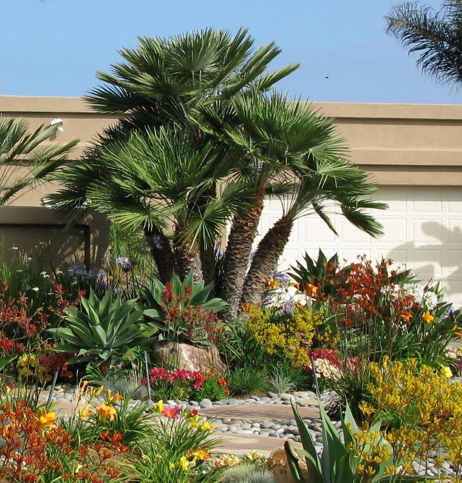 This is an example of a large tropical front yard full sun driveway in San Diego with mulch.