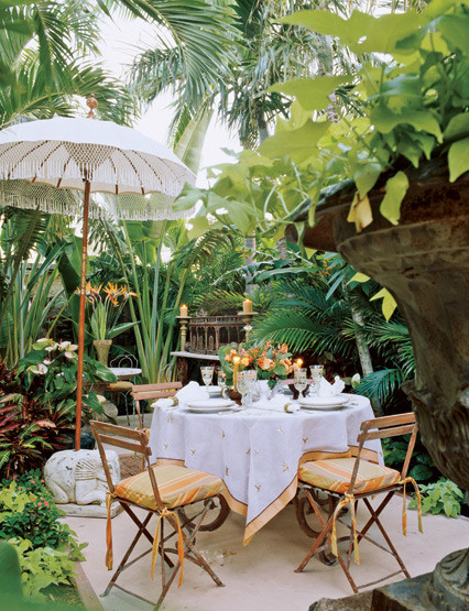 Inspiration for a tropical garden in Miami.