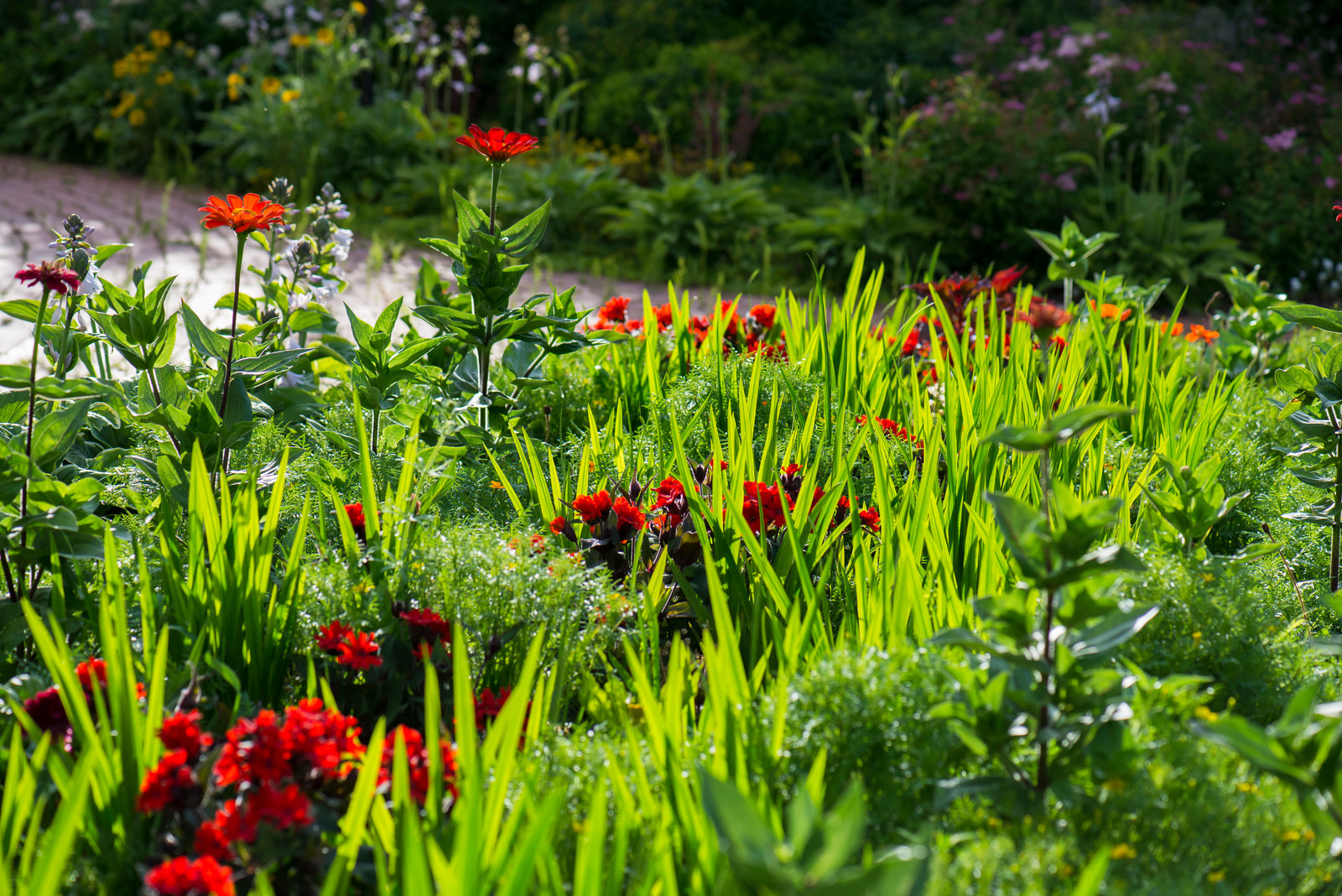 Большой сад в пригороде