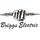 Briggs Electric