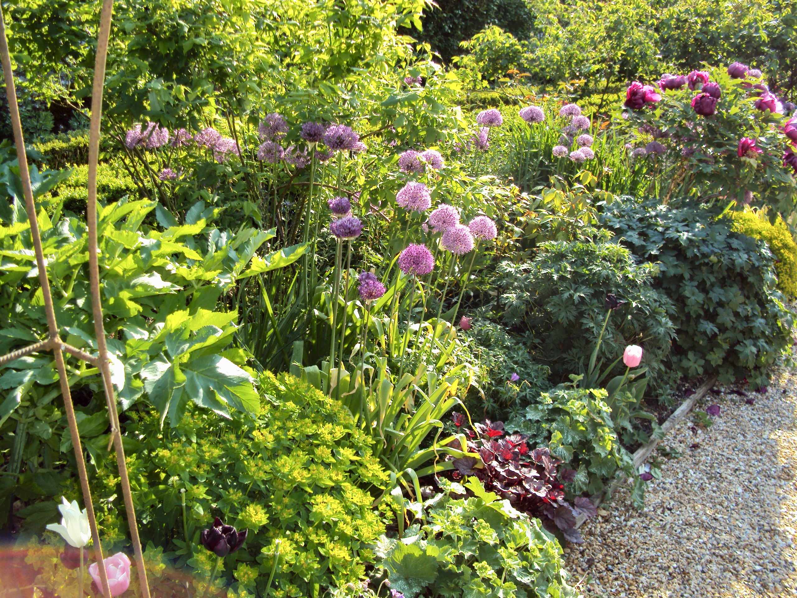 Large Country Garden