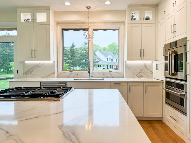Classic White - Full Overlay contemporary-kitchen