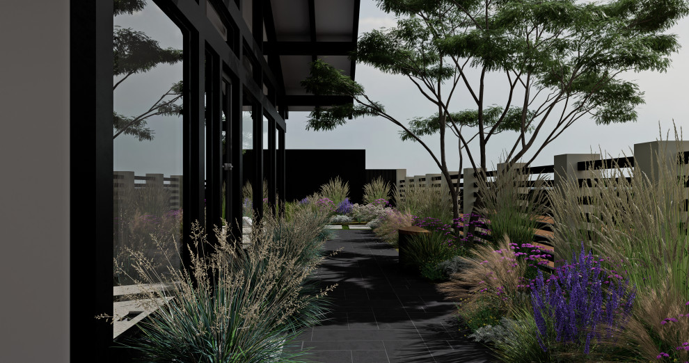 Брызги шампанского