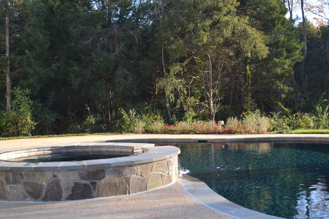 A Natural Pool contemporary-swimming-pool