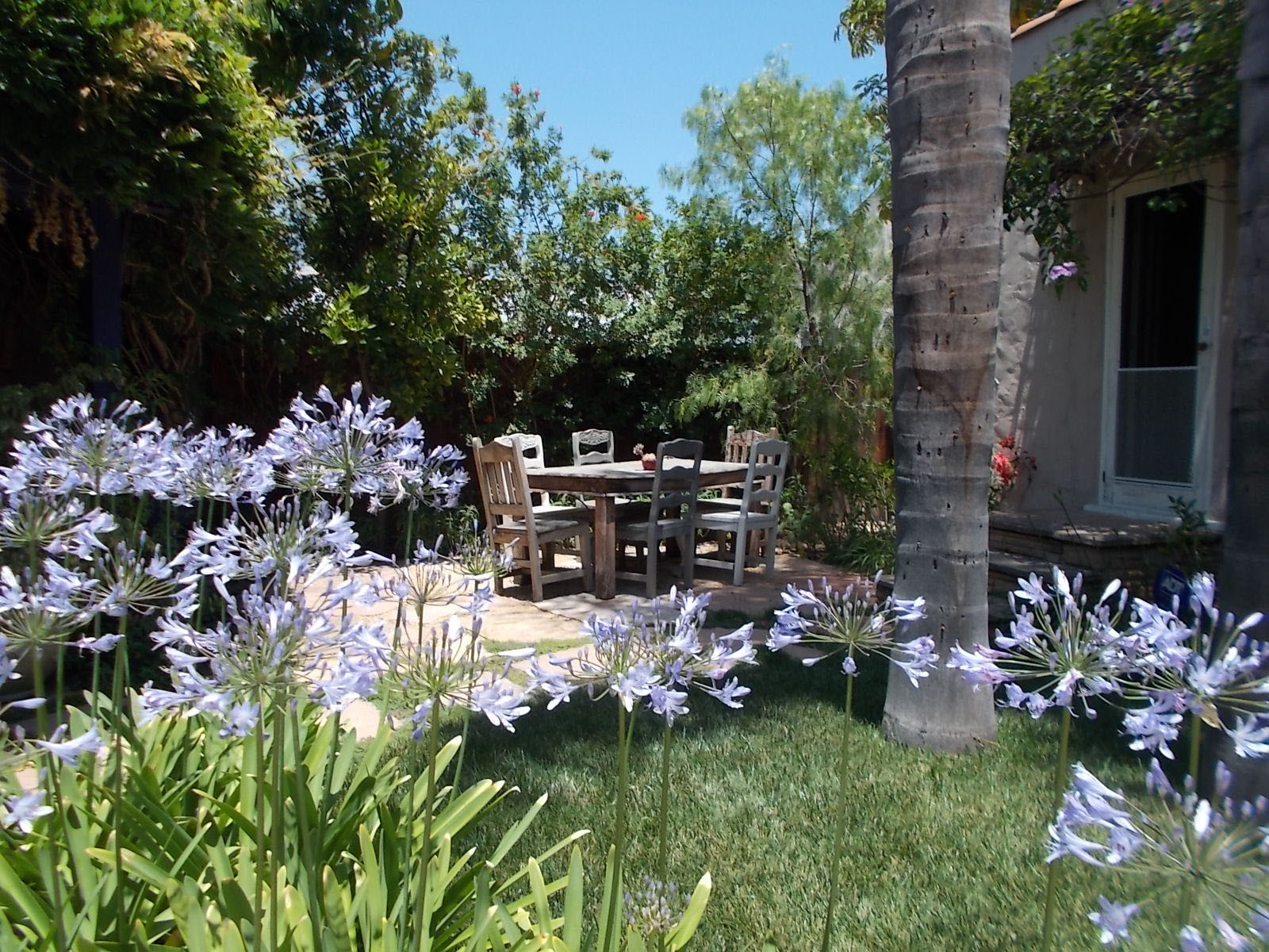 Los Angeles Backyard Retreat