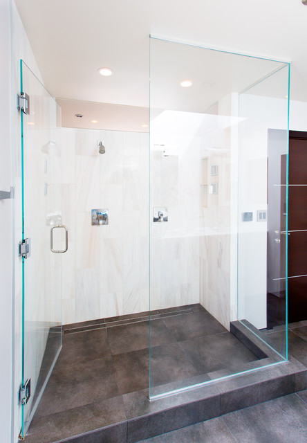 Palamarchuk contemporary-bathroom