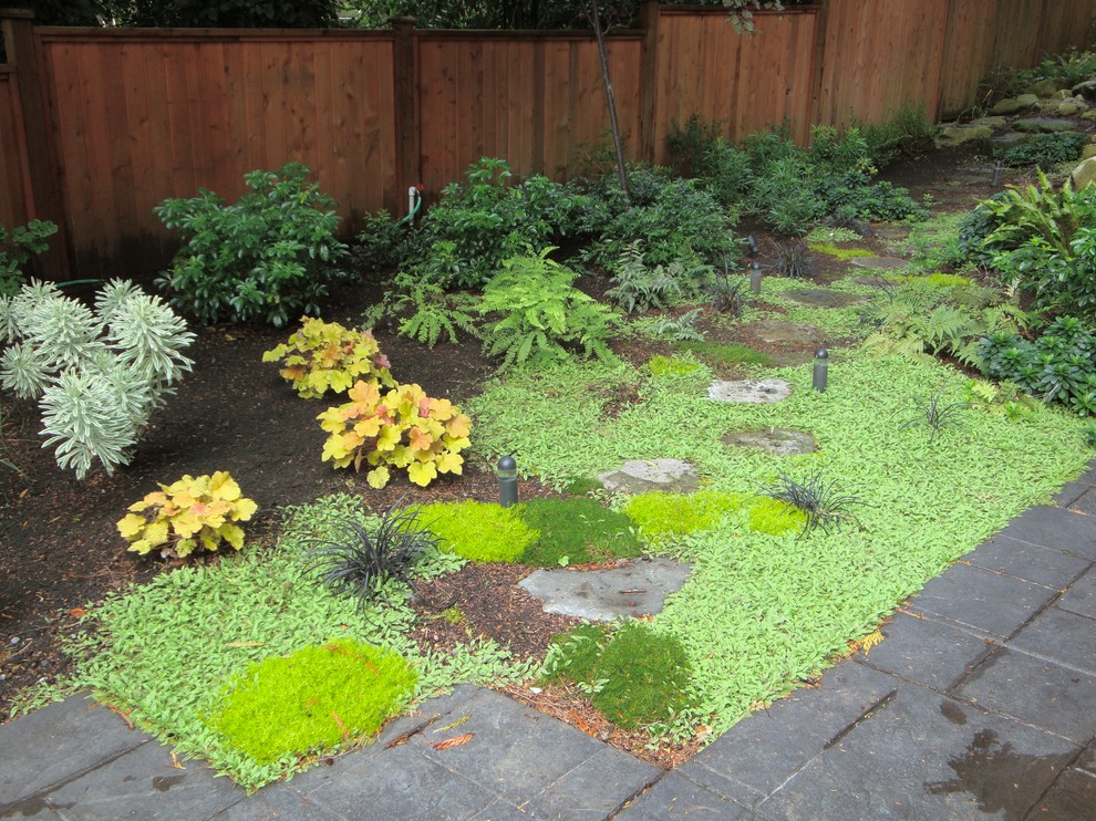 Design ideas for a transitional landscaping in Vancouver.
